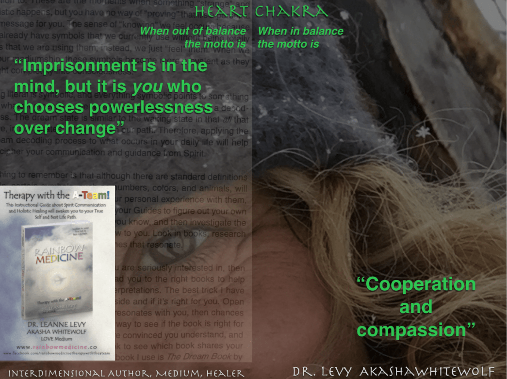 Screen Shot 2016-12-23 at 11.55.59 AM.png