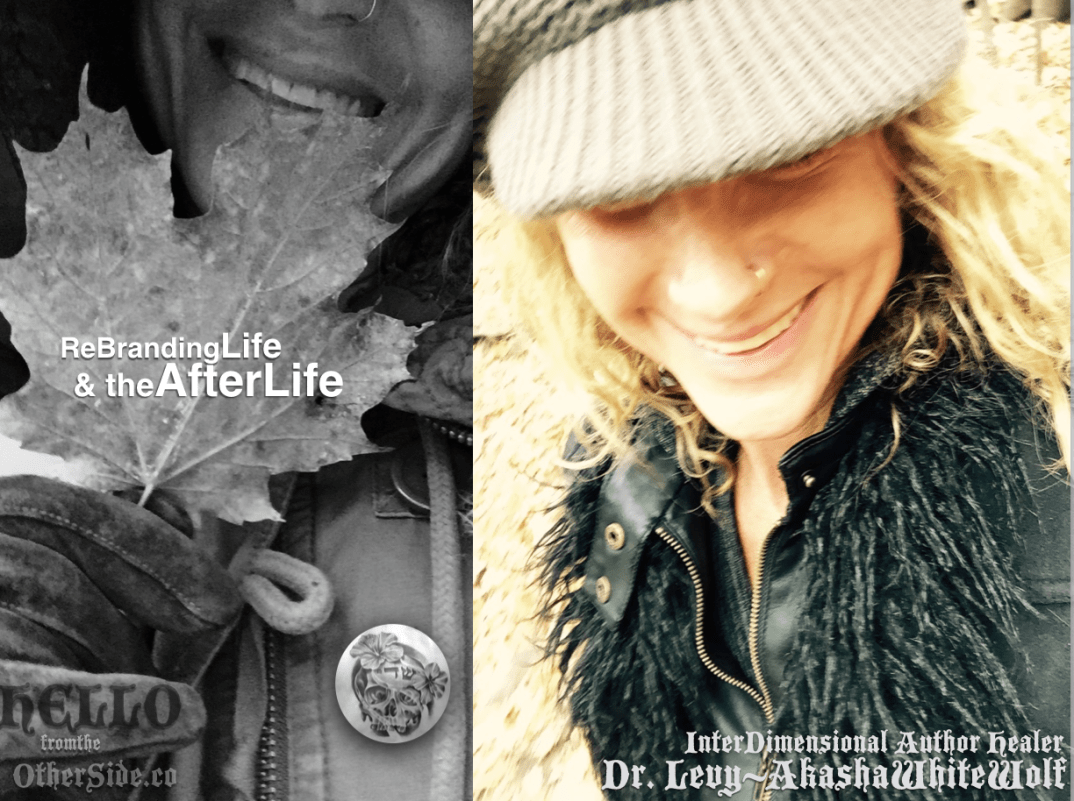 screen-shot-2017-01-31-at-9-46-46-am