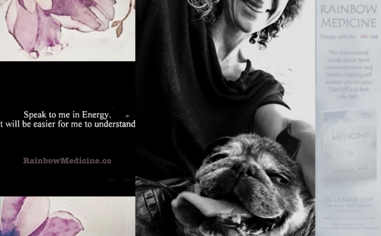 Screen Shot 2017-09-09 at 1.50.21 PM