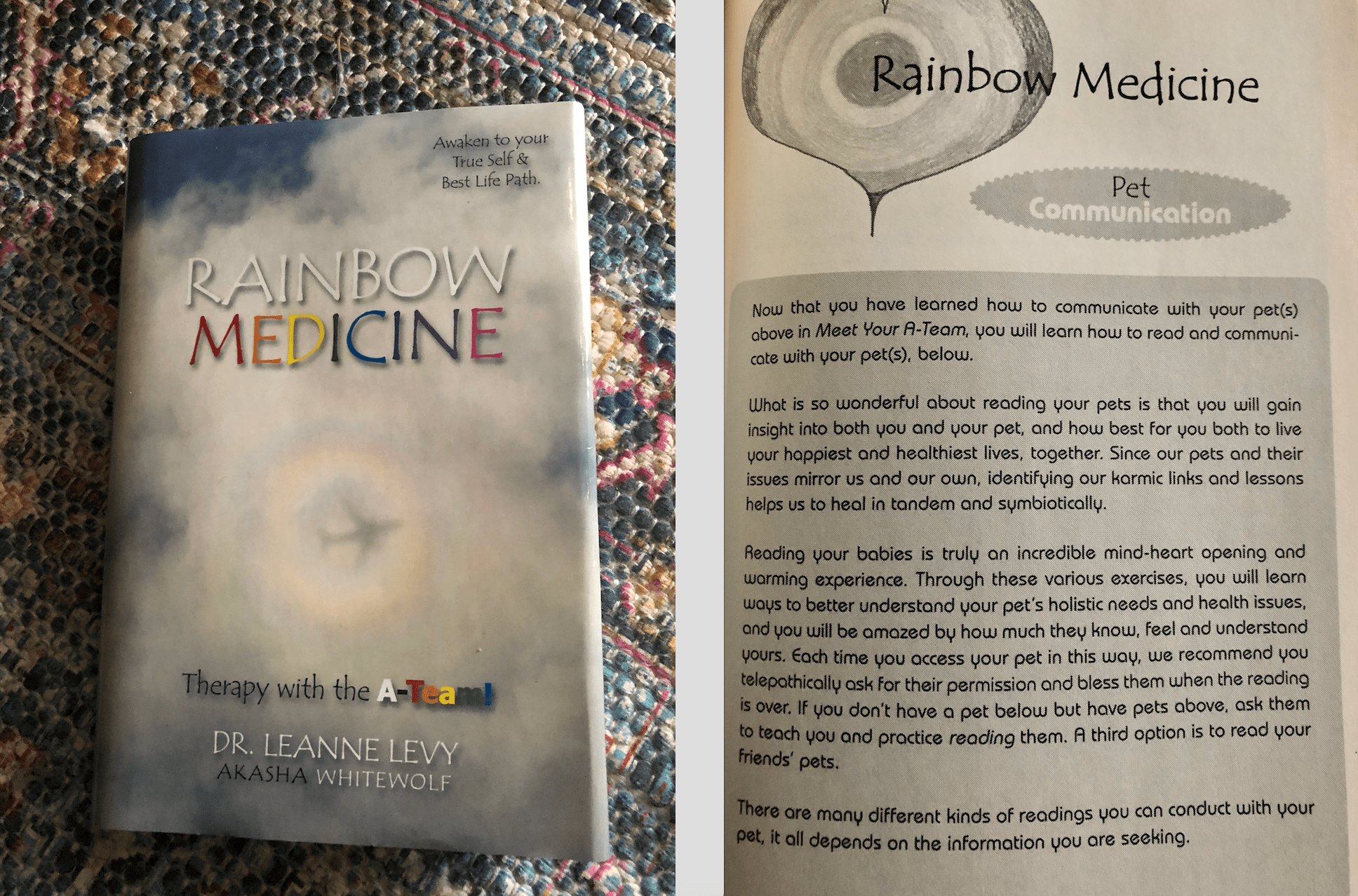 Screen Shot 2018-11-05 at 8.09.01 AM.png